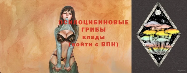 спиды Инта