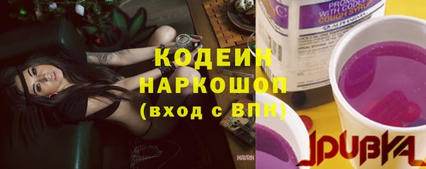 спиды Инта