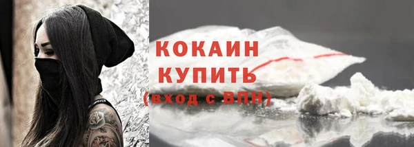 спиды Инта