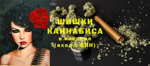 не бодяженный Инсар