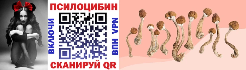 Галлюциногенные грибы Psilocybe  Купить закладки  Нерюнгри 